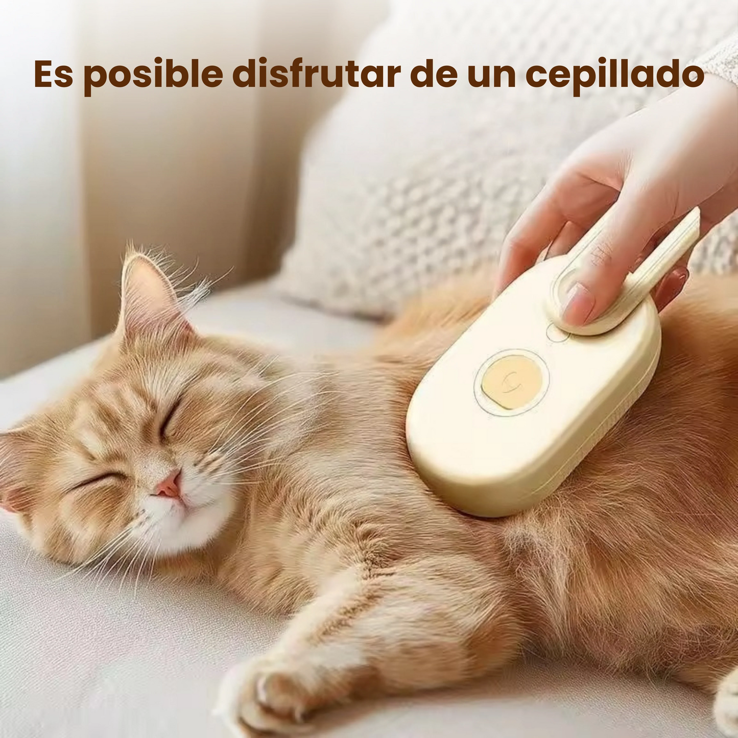 Cuida el Pelaje de tu Mejor Amig@ con Vapor, Sin Estrés ni Ruidos