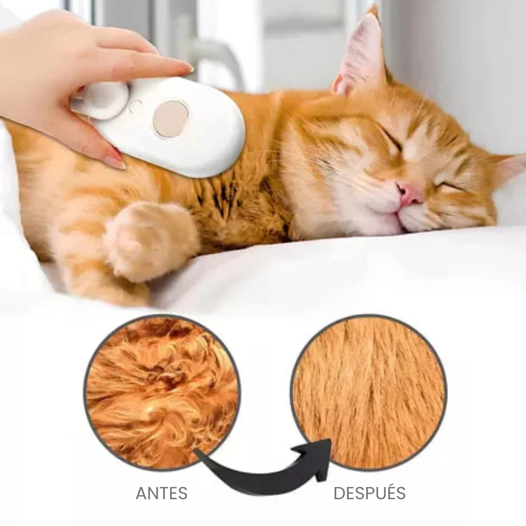 Cuida el Pelaje de tu Mejor Amig@ con Vapor, Sin Estrés ni Ruidos