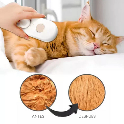 Cuida el Pelaje de tu Mejor Amig@ con Vapor, Sin Estrés ni Ruidos